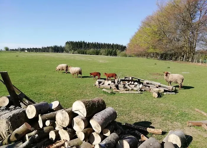 Les Pierris Semesterbostad La-Roche-en-Ardenne